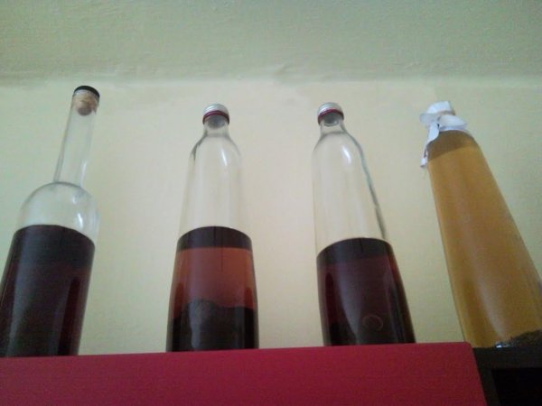 Ágyaspálinkák érlelés közben